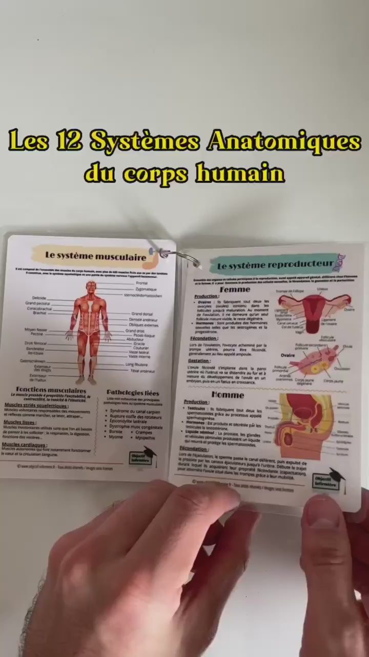 Pour les soignants (infirmières ou aides-soignants) tout savoir sur les systèmes anatomiques du corps humain