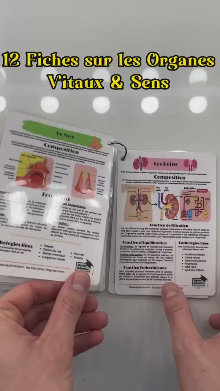 Fiches Mémo Anatomiques - Organes Vitaux et Sens