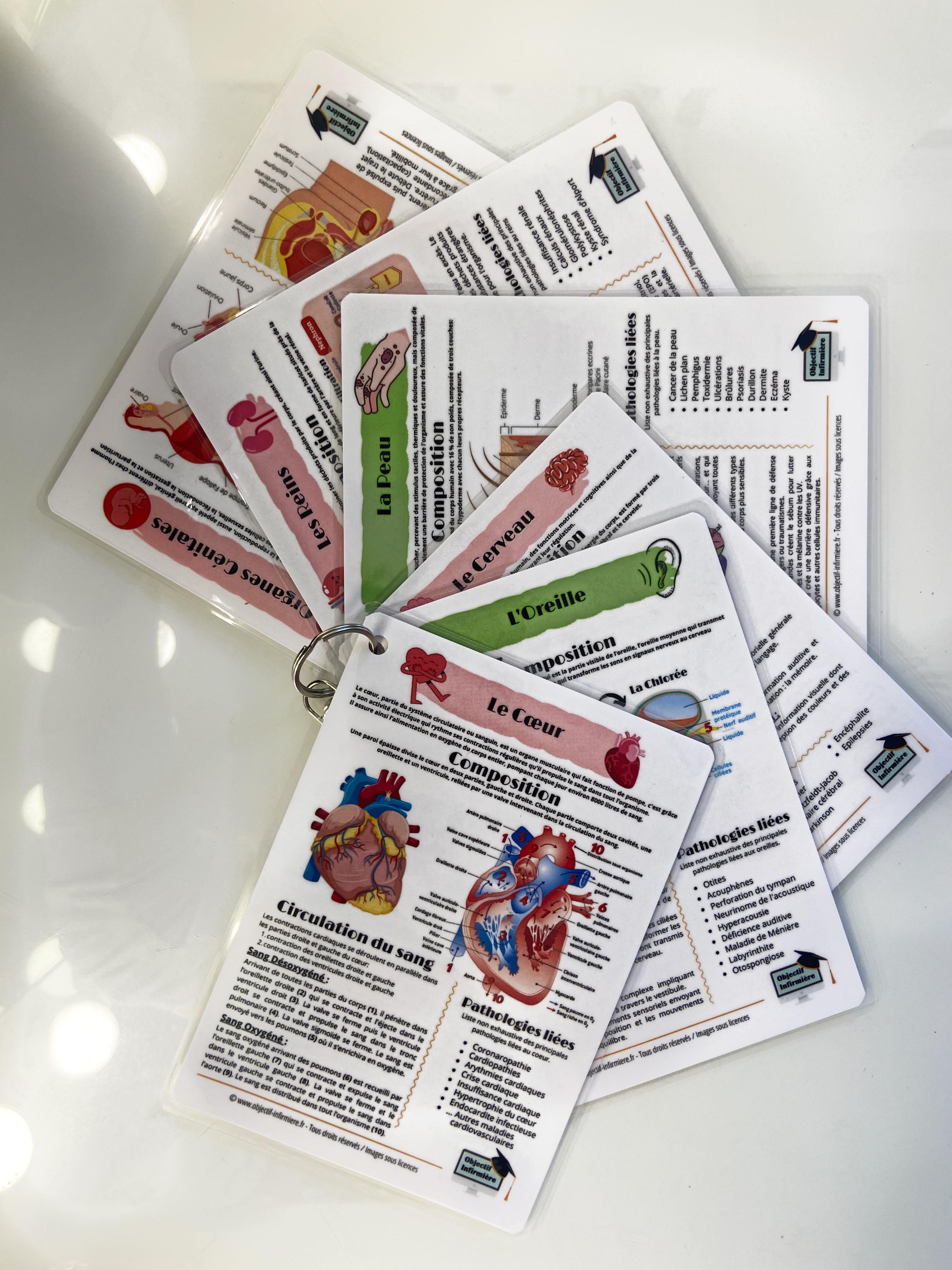 Mémo Anatomie pour Soignant