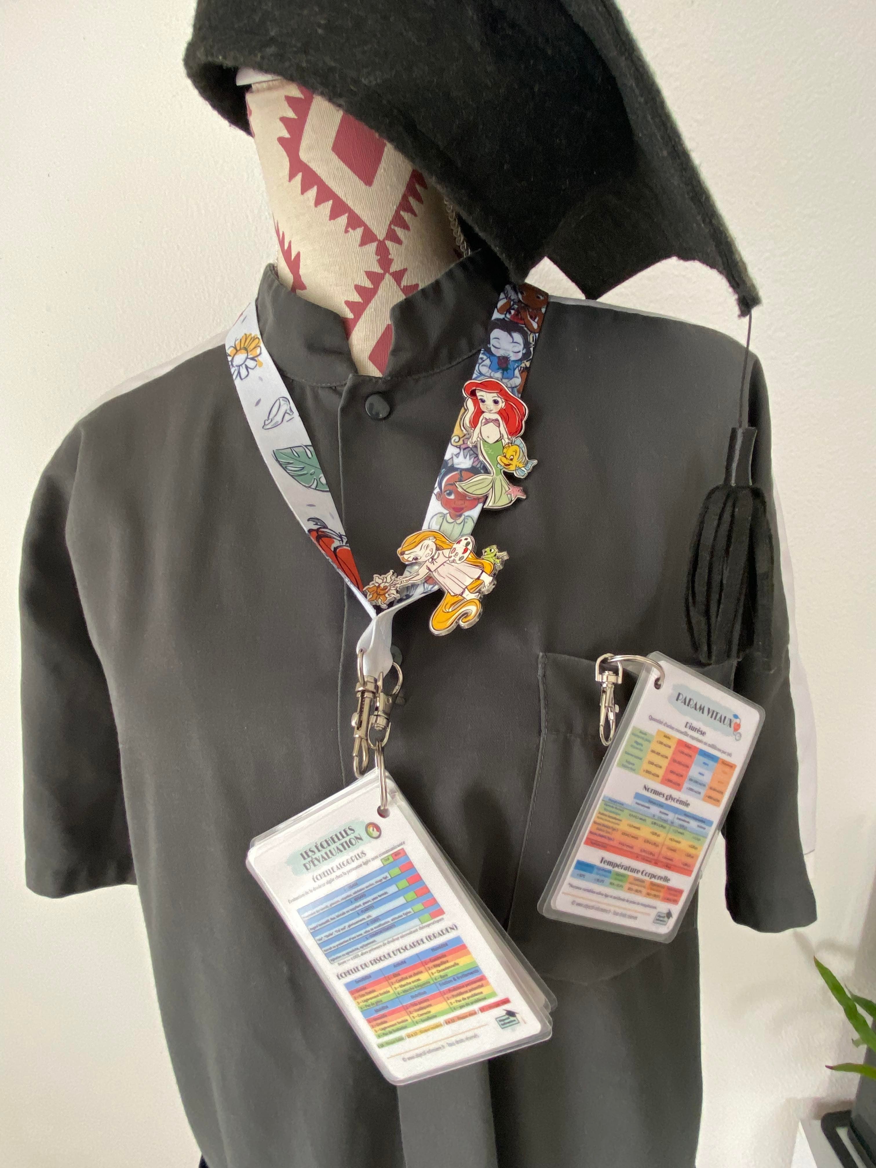 Pour stages ou travail de soignants, les notions et informations indispensables de l'infirmier